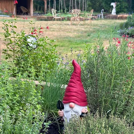 La Ferme Du Miouat Affittacamere Saint-Julien-en-Born