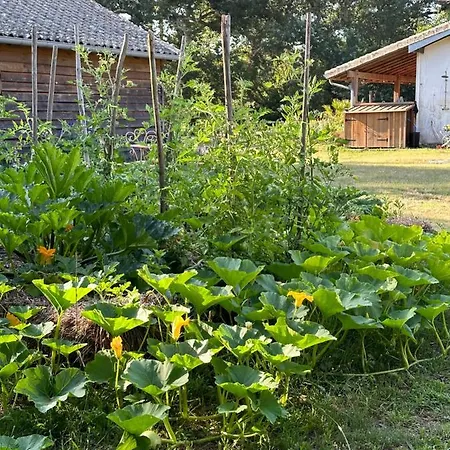 La Ferme Du Miouat Affittacamere Saint-Julien-en-Born