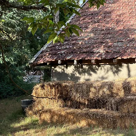ゲストハウス La Ferme Du Miouat *
