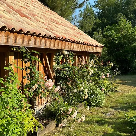 La Ferme Du Miouat ゲストハウス